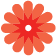chclogopetals